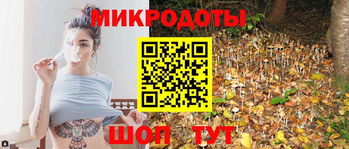 Галлюциногенные грибы мицелий Волгодонск