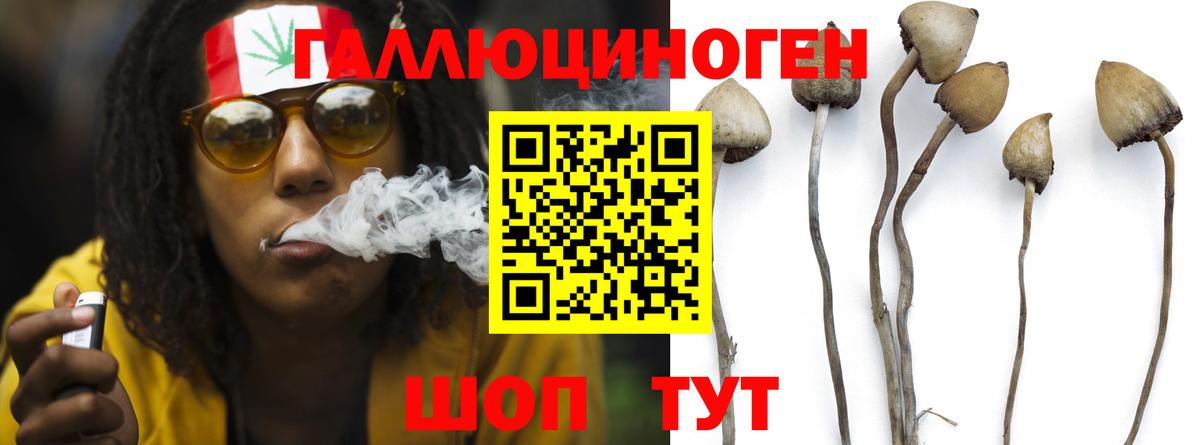 ГАШИШ Волгодонск